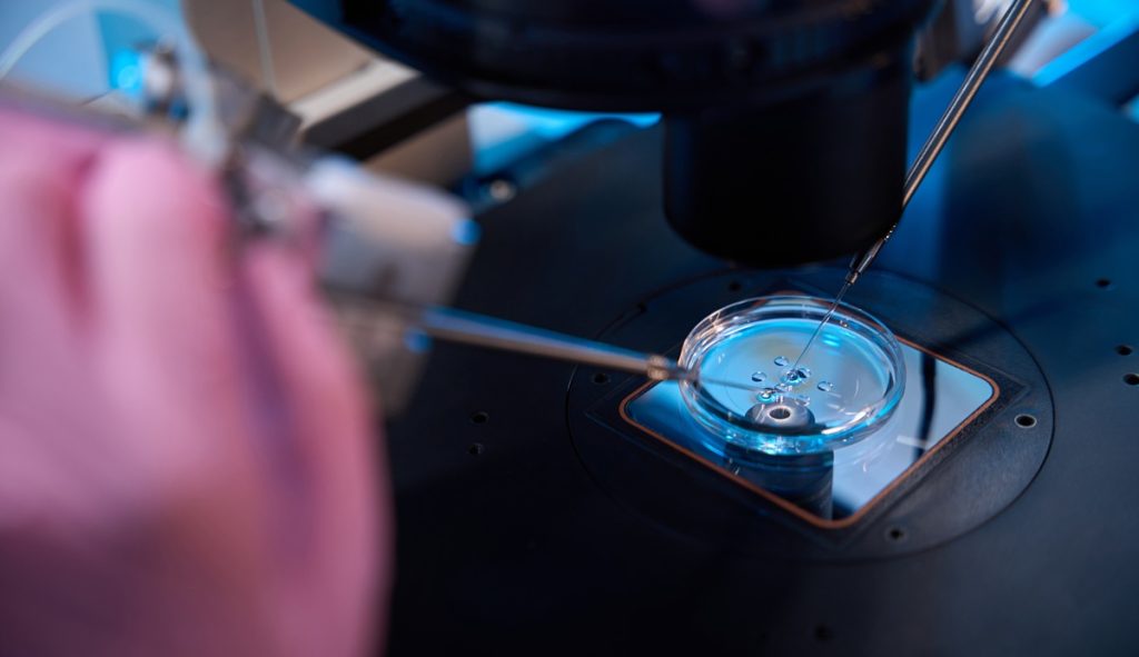 Factores de Crecimiento para Fallos de Implantación en Fecundación In Vitro